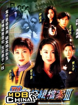 刑事侦缉档案3