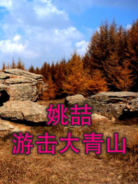 姚喆游击大青山