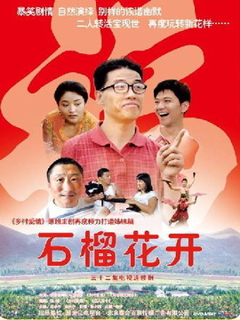 石榴花开