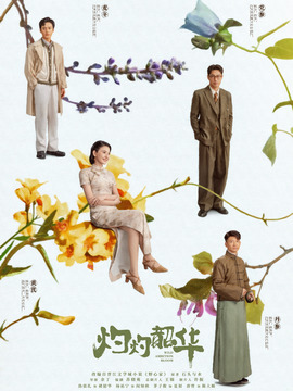 灼灼韶华