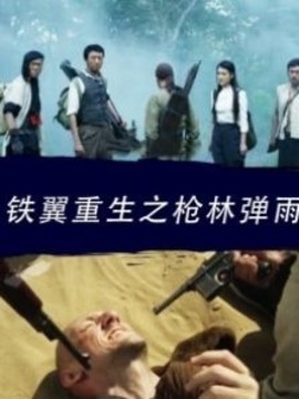 铁翼重生之枪林弹雨