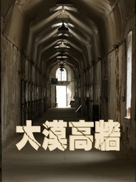 大漠高墙