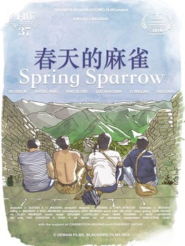 春天的麻雀